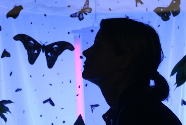 The Mind Does Not Belong in a Cubicle