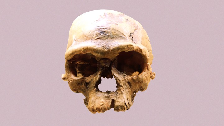 An ancient human skull from Jebel Irhoud / Ryan Somma / Flickr / Katie Martin / The Atlantic