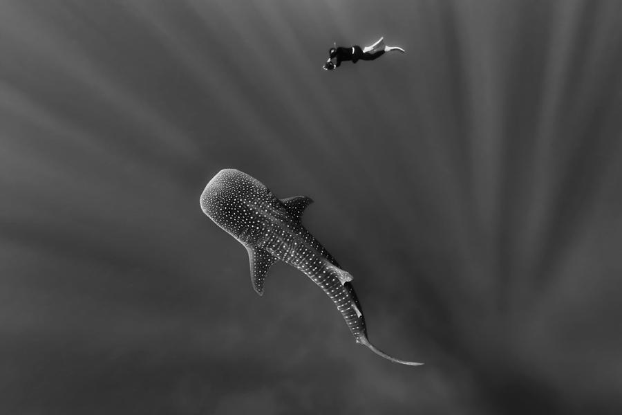 main_900.jpg?1420490613