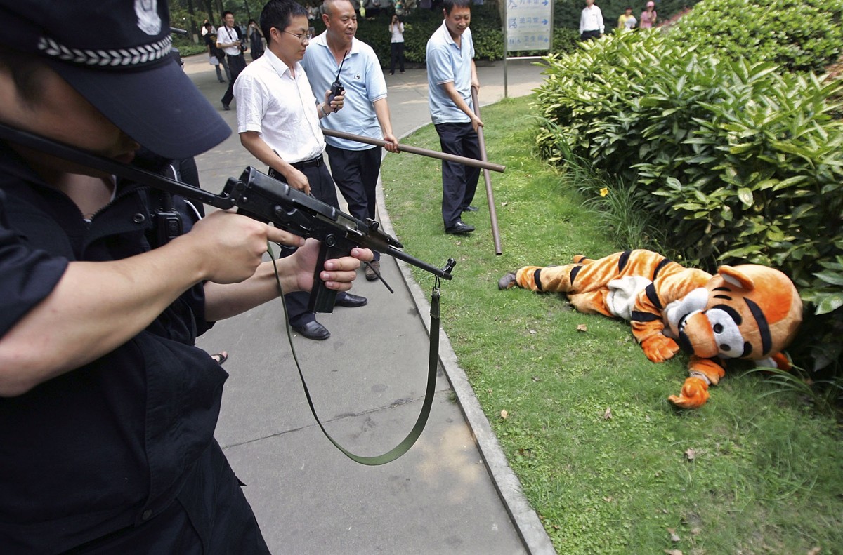 zoo-security-drills-when-animals-escape-the-atlantic