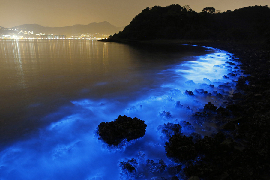 Long exposure shows the glow from a Noctiluca scintillans algal bloom along the seashore in Hong Kong.  Photo: Kin Cheung/AP