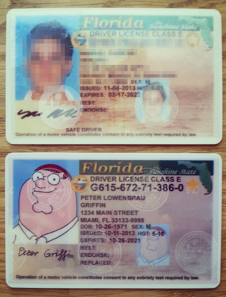 check my driver license status florida