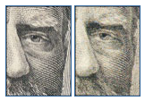 Counterfeit Bill Portrait