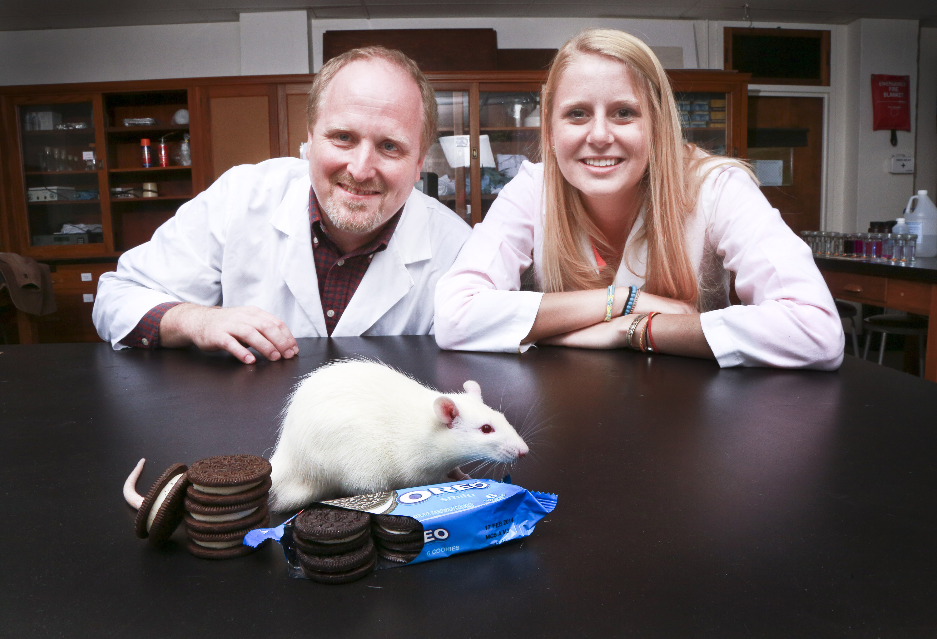 rats