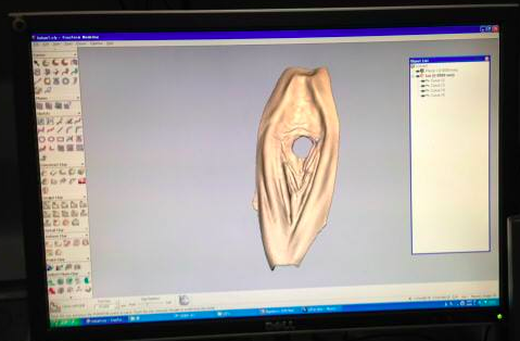 Japanese Artist Arrested After Turning D Rendering Of Her Vagina Into A Kayak The Atlantic