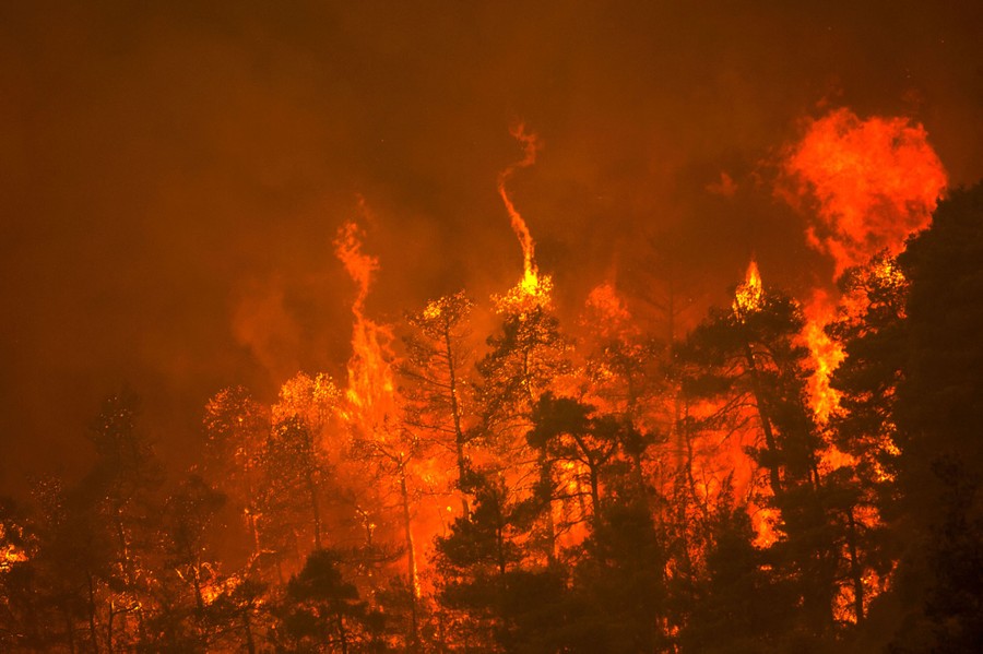 Italy Forest Fires