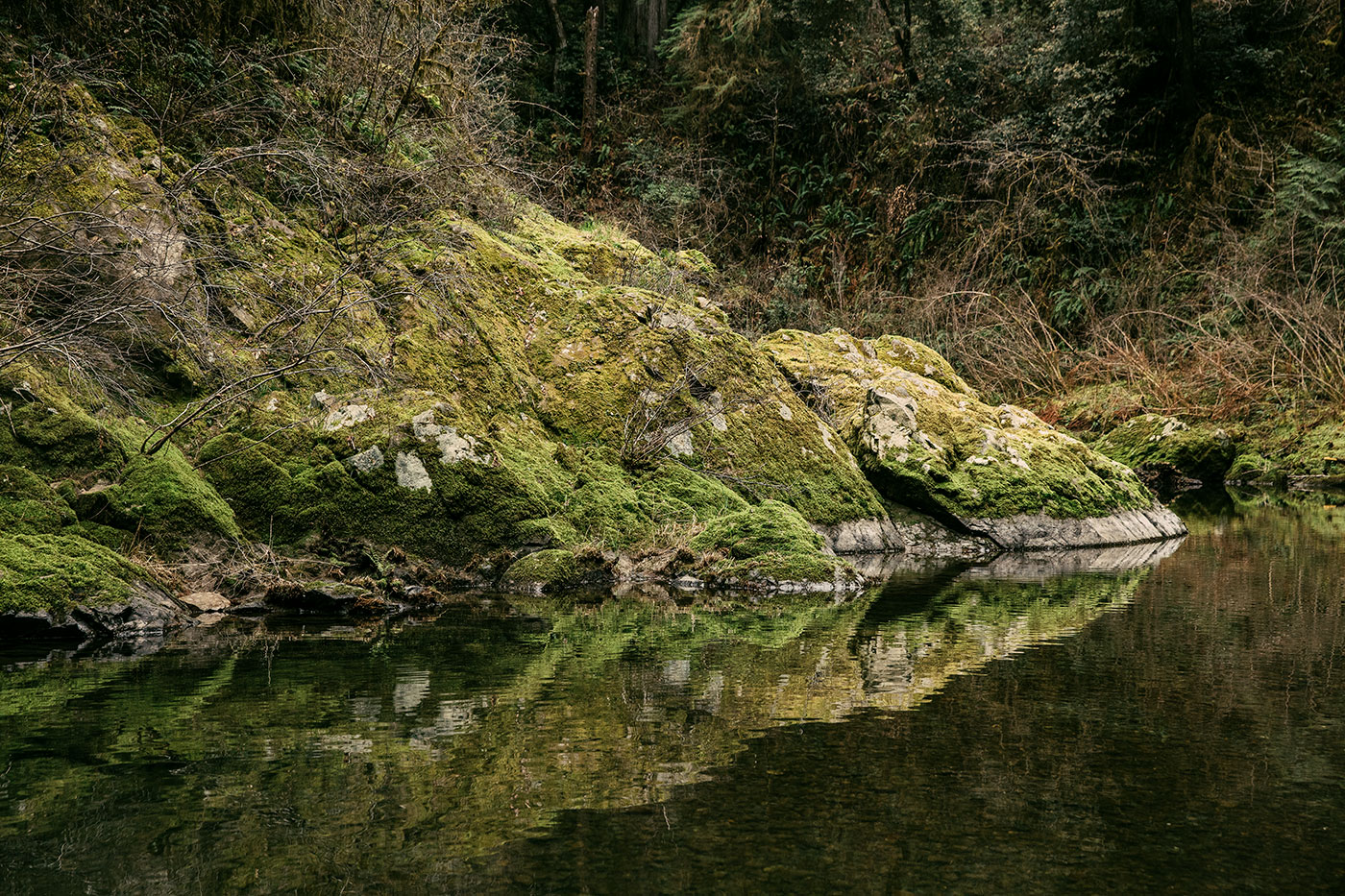 A moss-covered rock along the Smith River in Jedediah Smith Redwoods State Park in Northern California