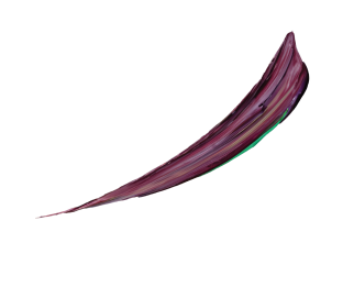 Colorful paint stroke, purple lilac maroon white, high resolution