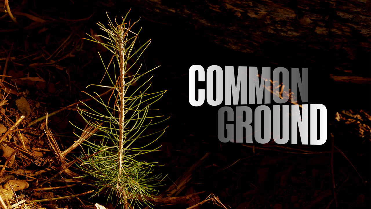 Common Ground - Atlantic Re:think Sponsor Content - Mastercard ...