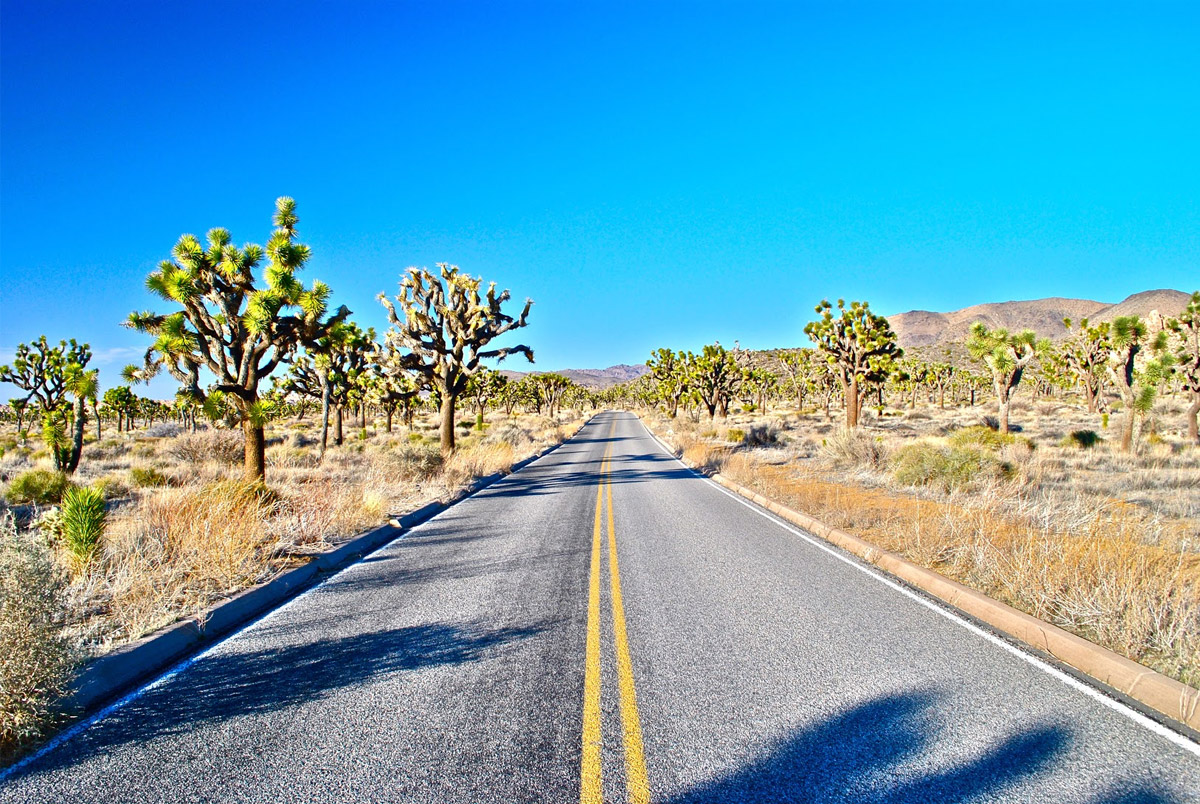 On the Way: Scenes from the American Road