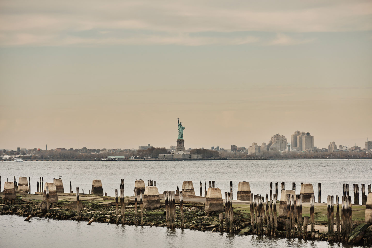 The Statue of Liberty from Sunset Park