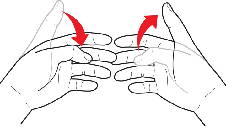 the evolution of hand gestures why do some die out and others