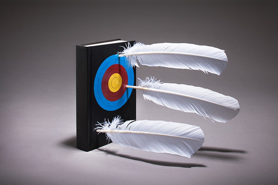 Feathers lodged in a book with a target painted on the cover.