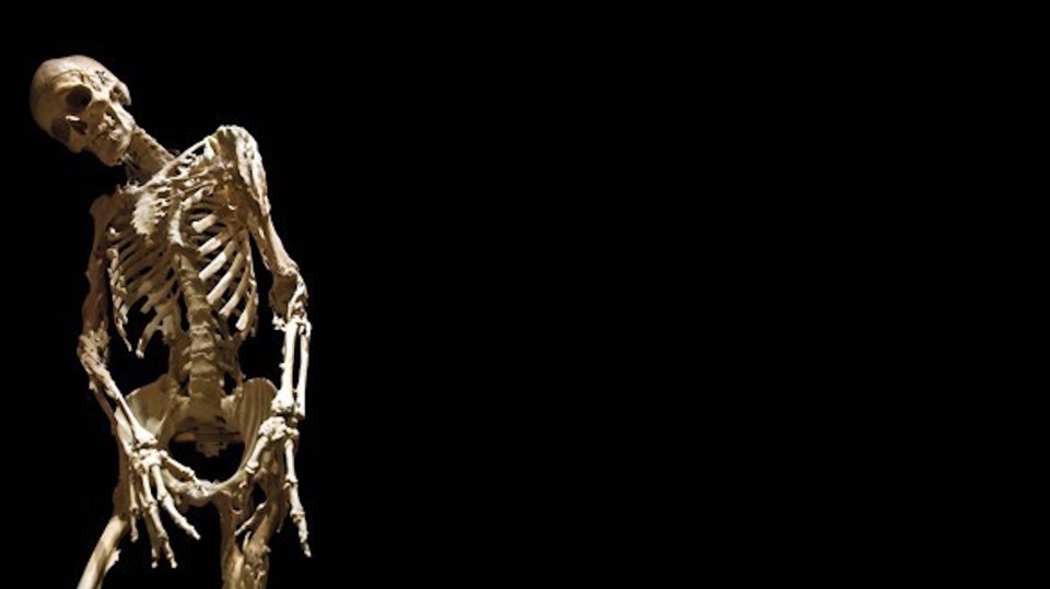 The Girl Who Turned to Bone The Atlantic