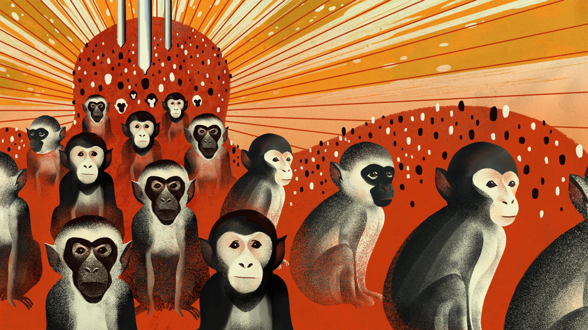An illustration of monkeys on a red and orange background