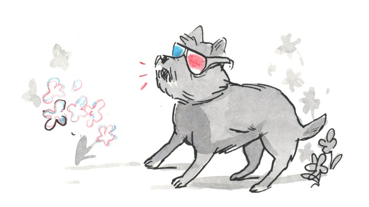Toto from the Wizard of Oz wears 3-D glasses.