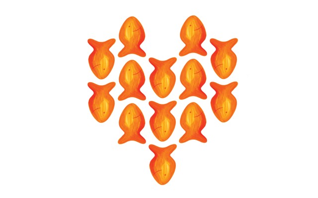 illustration of goldfish arranged in a heart shape