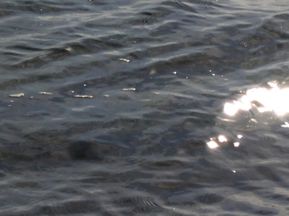 Lightonwater1