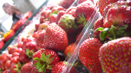 Strawberries at Jean Talon Market