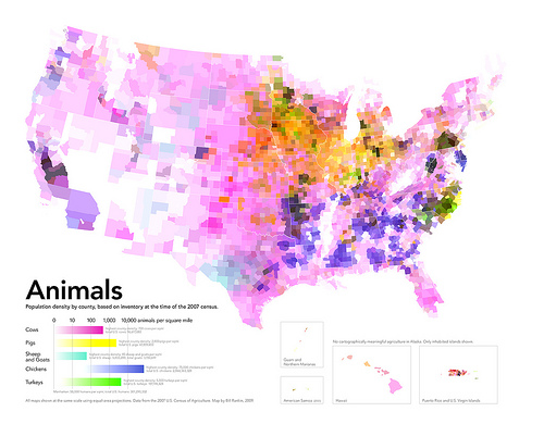Animals by County