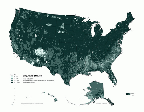 White Population Density