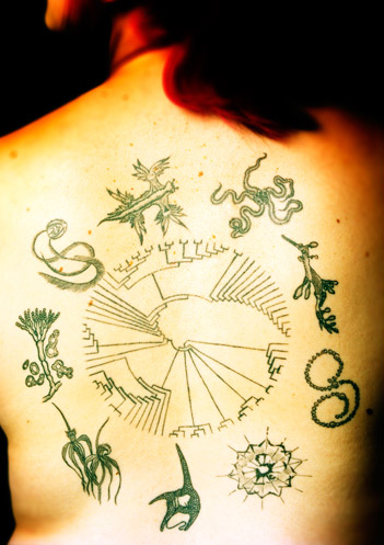 Scientist loves climate history — and her tattoo proves it