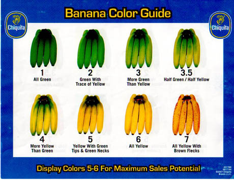 The Life Cycle of a Banana - The Atlantic