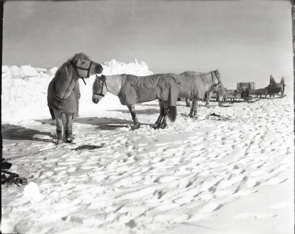 'The Lost Photographs of Captain Scott': 100 Years of Polar Mystery ...