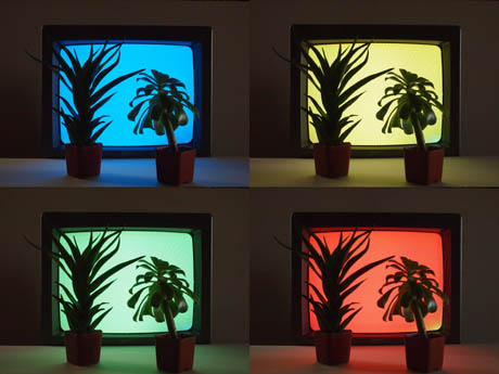 5 TV dinner plants