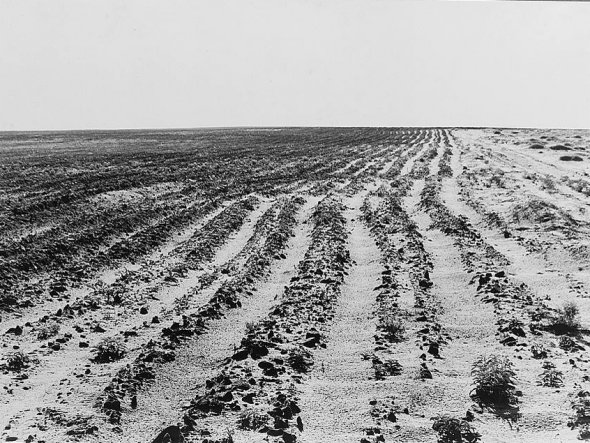 So is that it? Are we screwed?