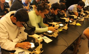 Homework for students picture