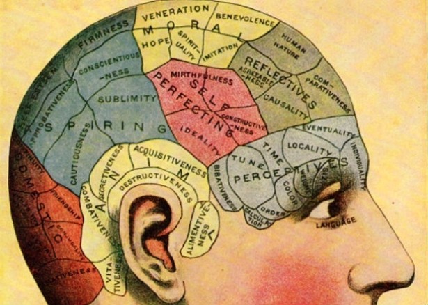 The Roots Phrenology Download Free