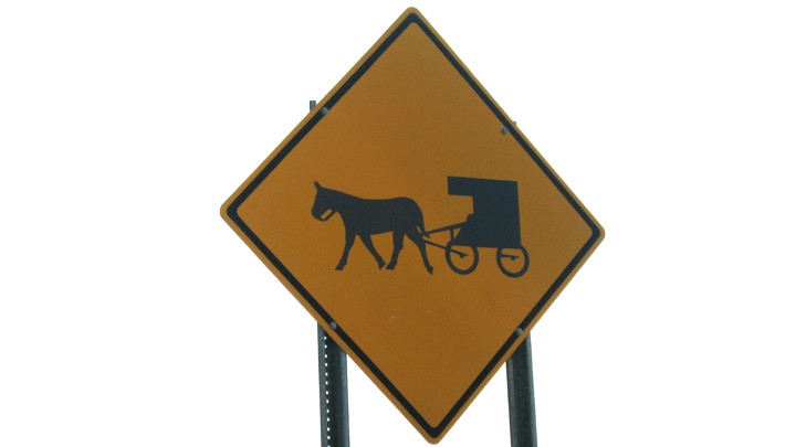 Risultati immagini per amish case