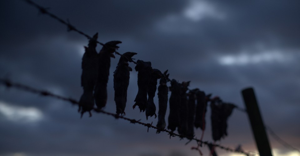 Why Does Mississippi Want to Execute Michelle Byrom? The Atlantic