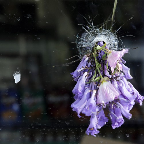 The Myth Of Autistic Shooter >> The Isla Vista Shooter This Is Not The Autism Spectrum The Myth Of Autistic Shooter >> The Isla Vista Shooter This Is Not The Autism Spectrum