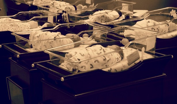 The Birth of the Pill by Jonathan Eig