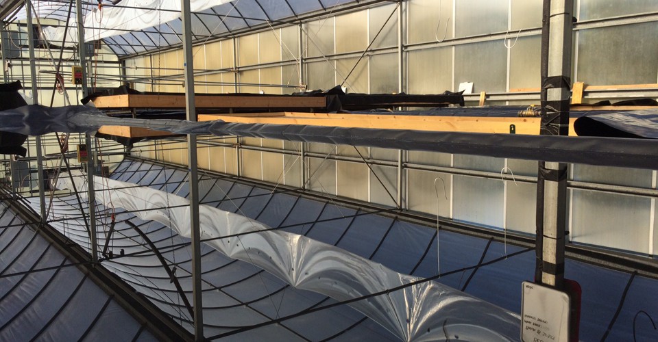 Another Look at SaltHarvesting in West Virginia The Atlantic