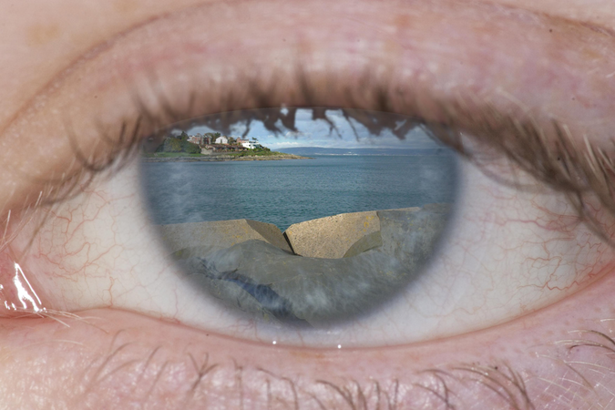 What Does It Mean To See With The Minds Eye The Atlantic - 