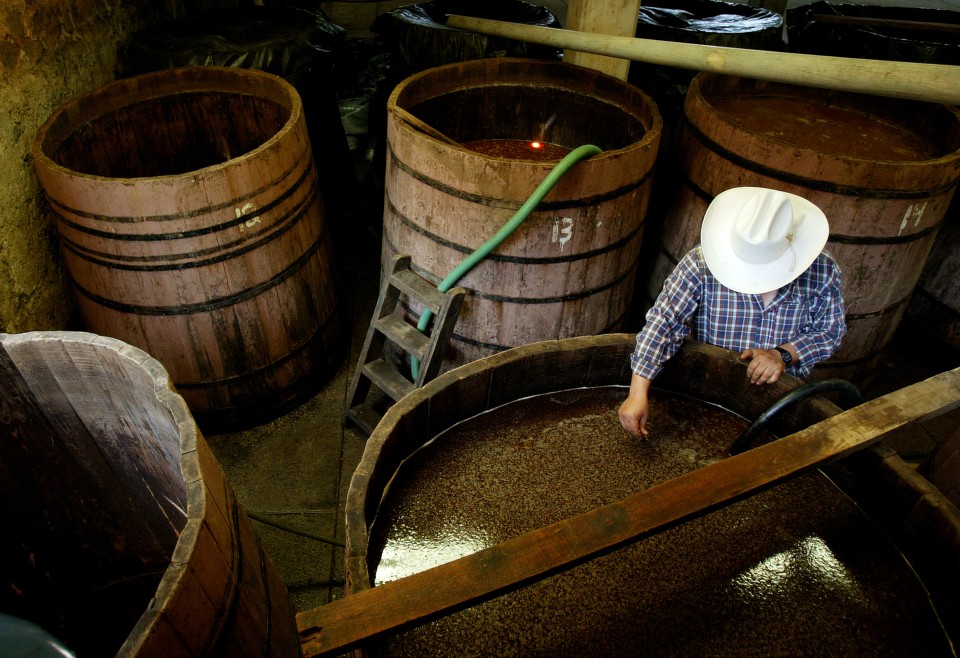 How Tequila Went From Mexican Farms to American Frats The Atlantic