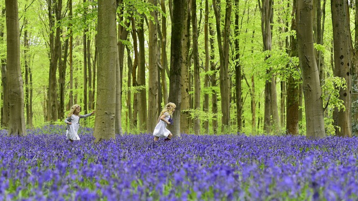 Study Finds That Green Spaces at Schools Boost Cognitive Performance in