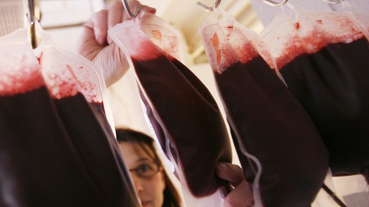 Image result for images of blood harvesting in EE UU