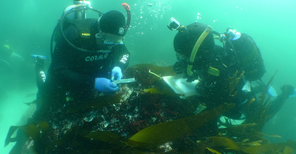 The Museum That Resurrected a Slave Ship The Atlantic