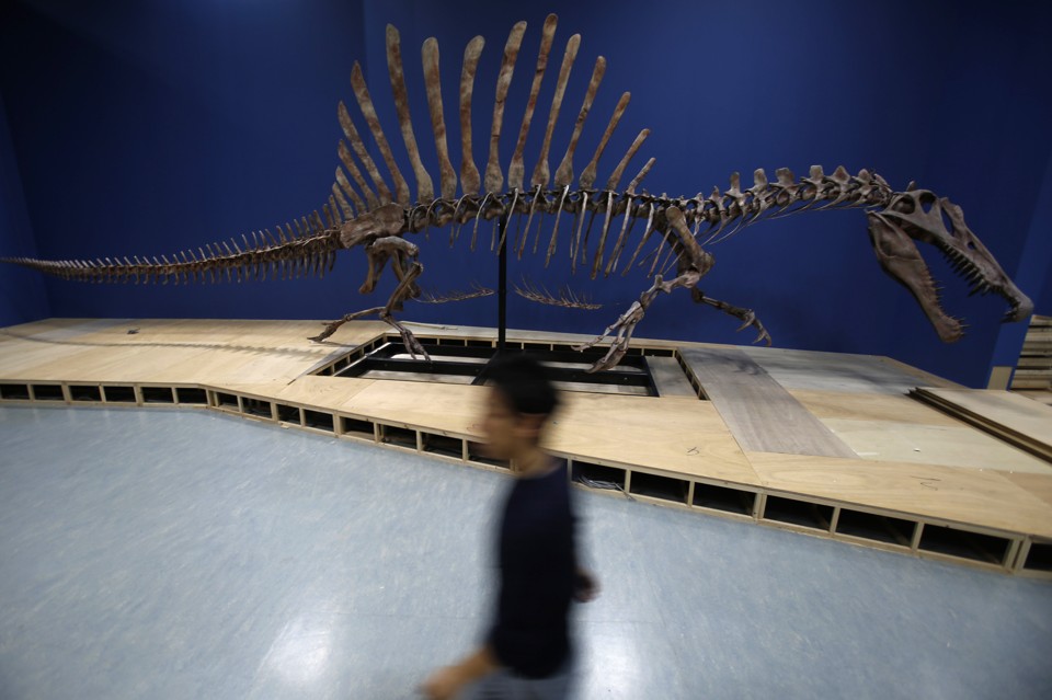 The Spinosaurus is a Dinosaur-Sized Mystery - The Atlantic