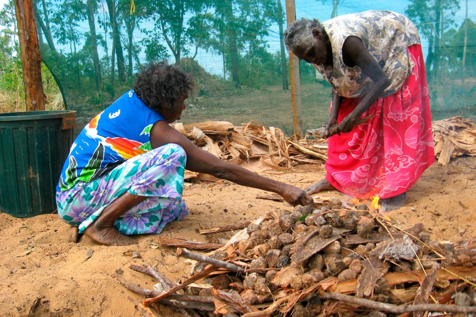 is-there-a-place-for-indigenous-healers-in-australia-s-health-system