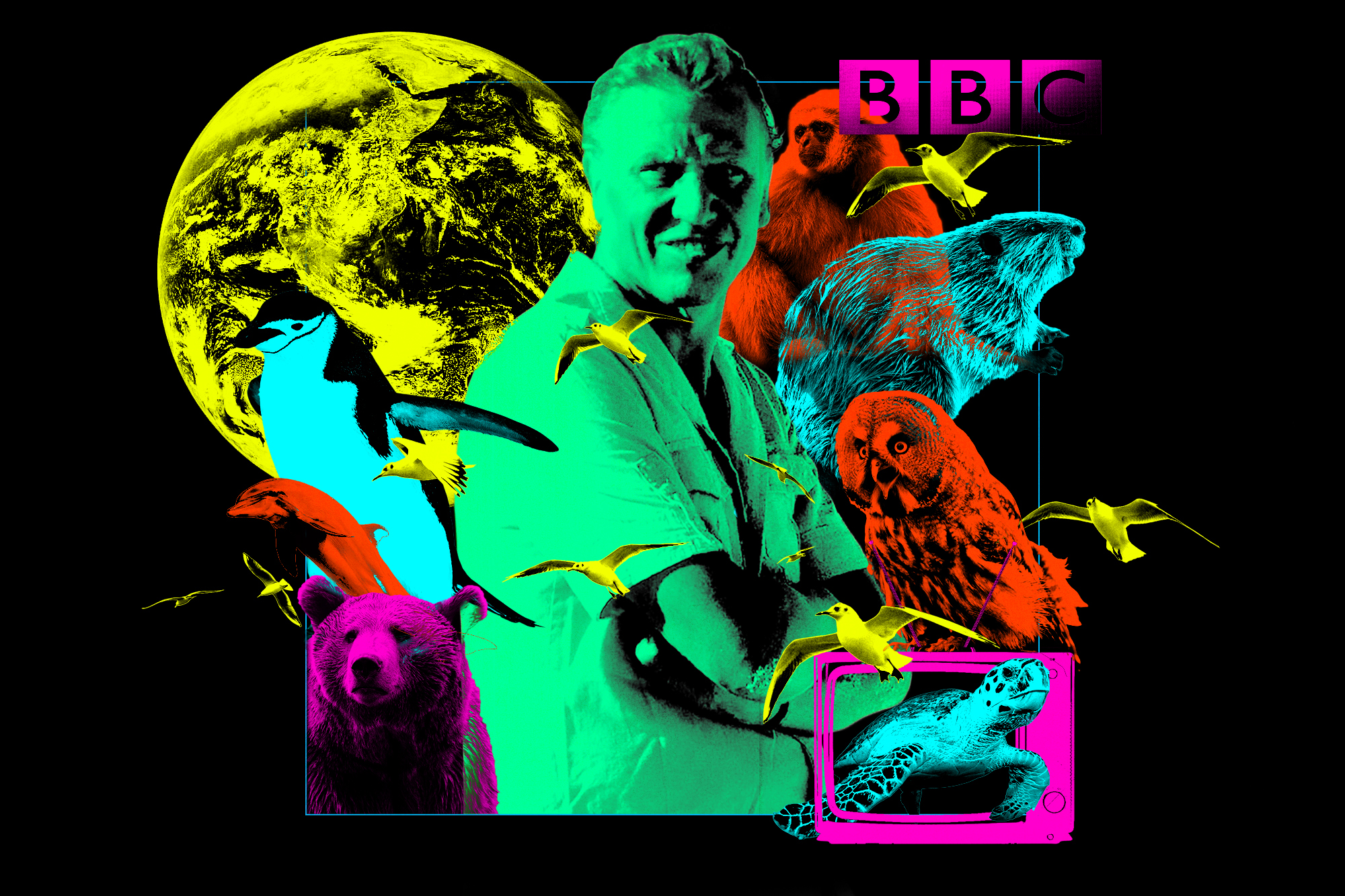 Every Episode Of David Attenborough S Life Series Ranked The