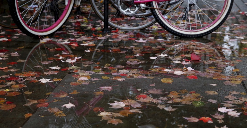 The Perils of Writing a Provocative Email at Yale The Atlantic