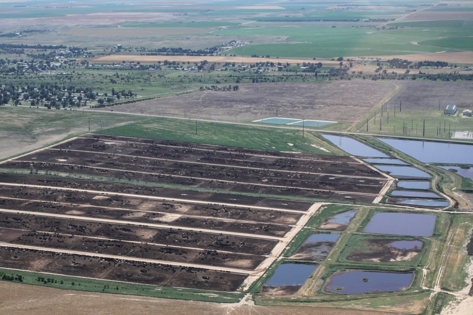 Wheat Farms and Wind Farms in Kansas The Atlantic