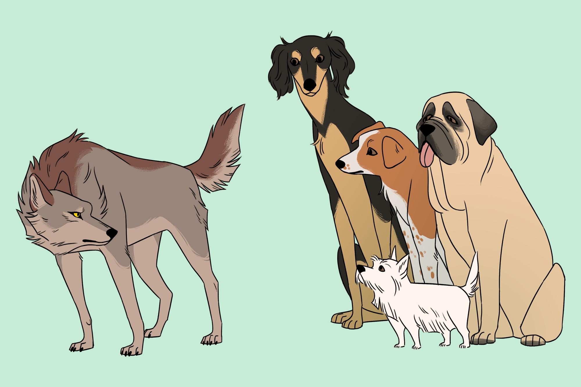 dog type animals