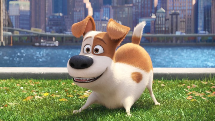 the secret life of pets movie printable coupons