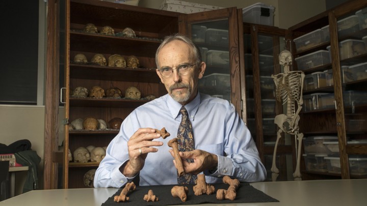 John Kappelman with 3D printouts of Lucy’s skeleton
